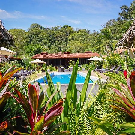 Island Plantation (Adults Only) Hotel La Gruta Luaran gambar