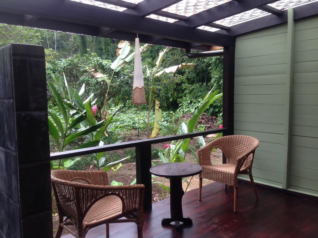 Island Plantation (Adults Only) Hotel La Gruta Bilik gambar