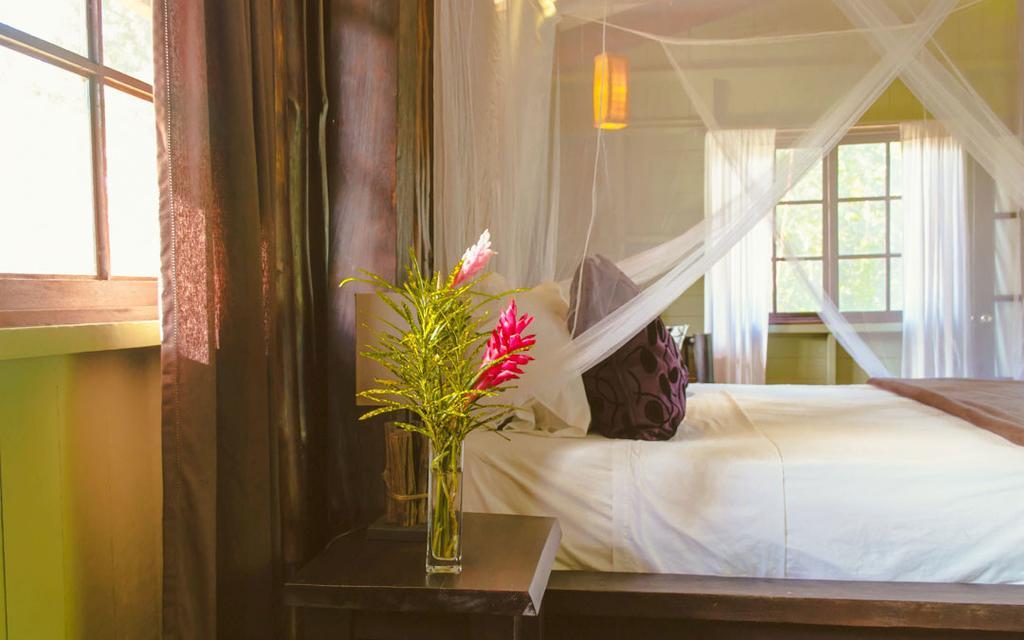 Island Plantation (Adults Only) Hotel La Gruta Bilik gambar