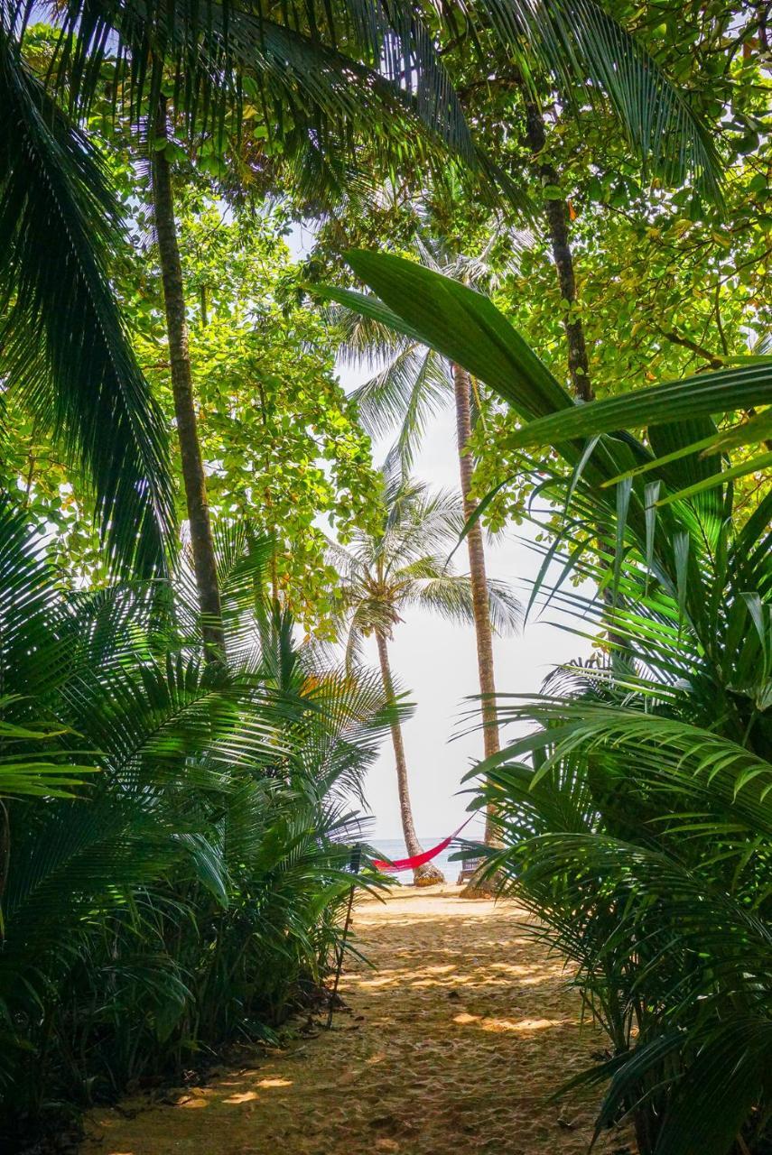 Island Plantation (Adults Only) Hotel La Gruta Luaran gambar